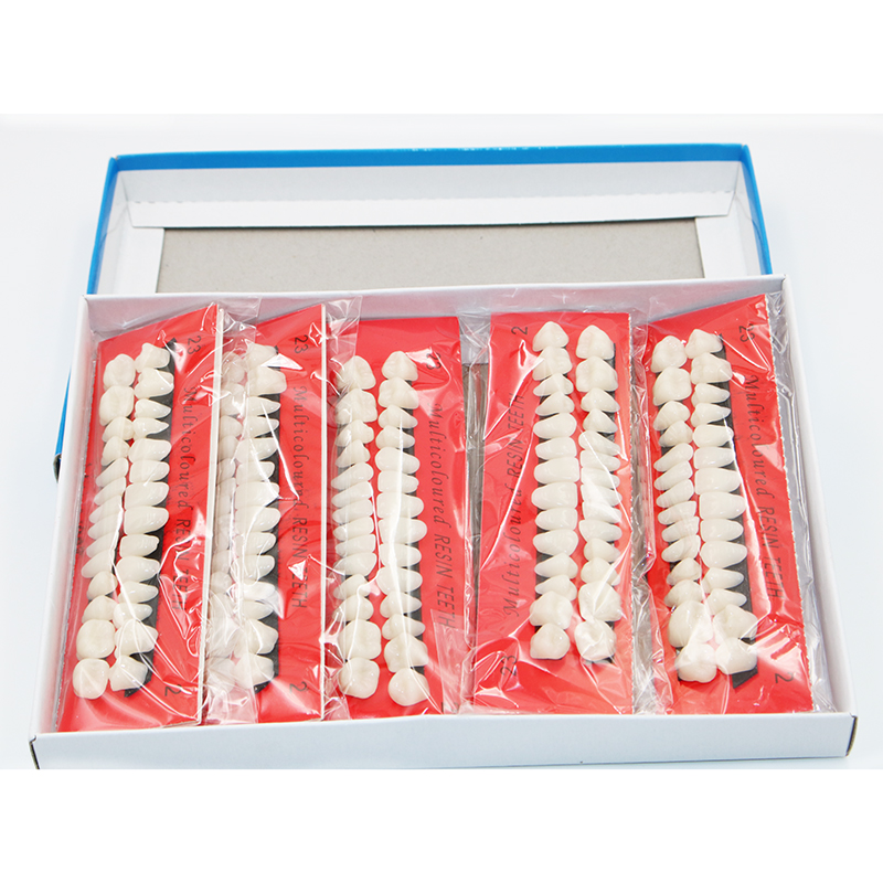 Model Kit Tool - 10 sets Dentistry Plastic Teeth Teaching