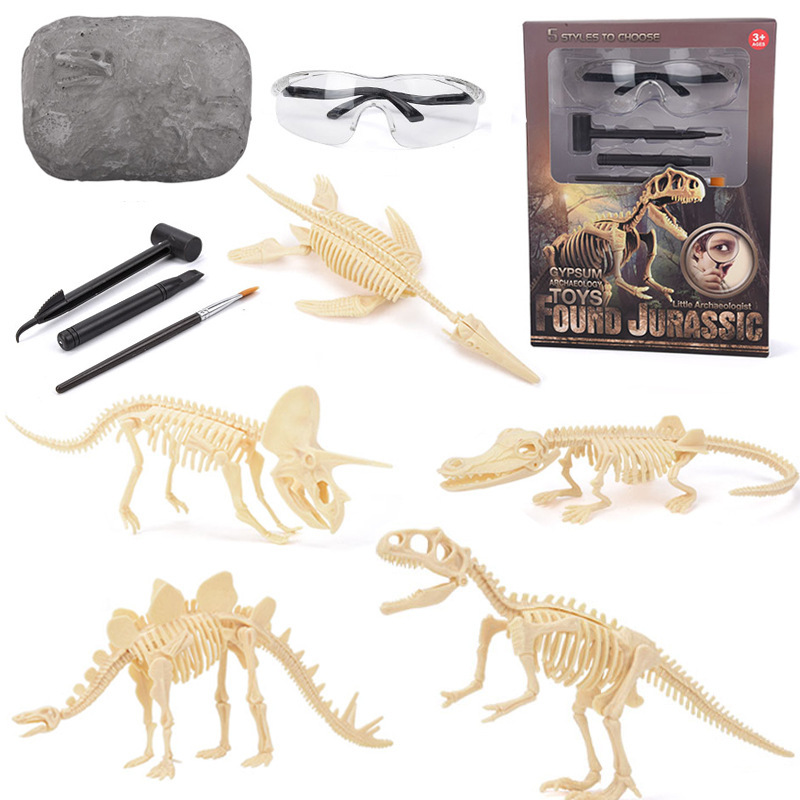 Model Kit Girls - Dinosaur Fossil Excavation Kit STEM Excavates