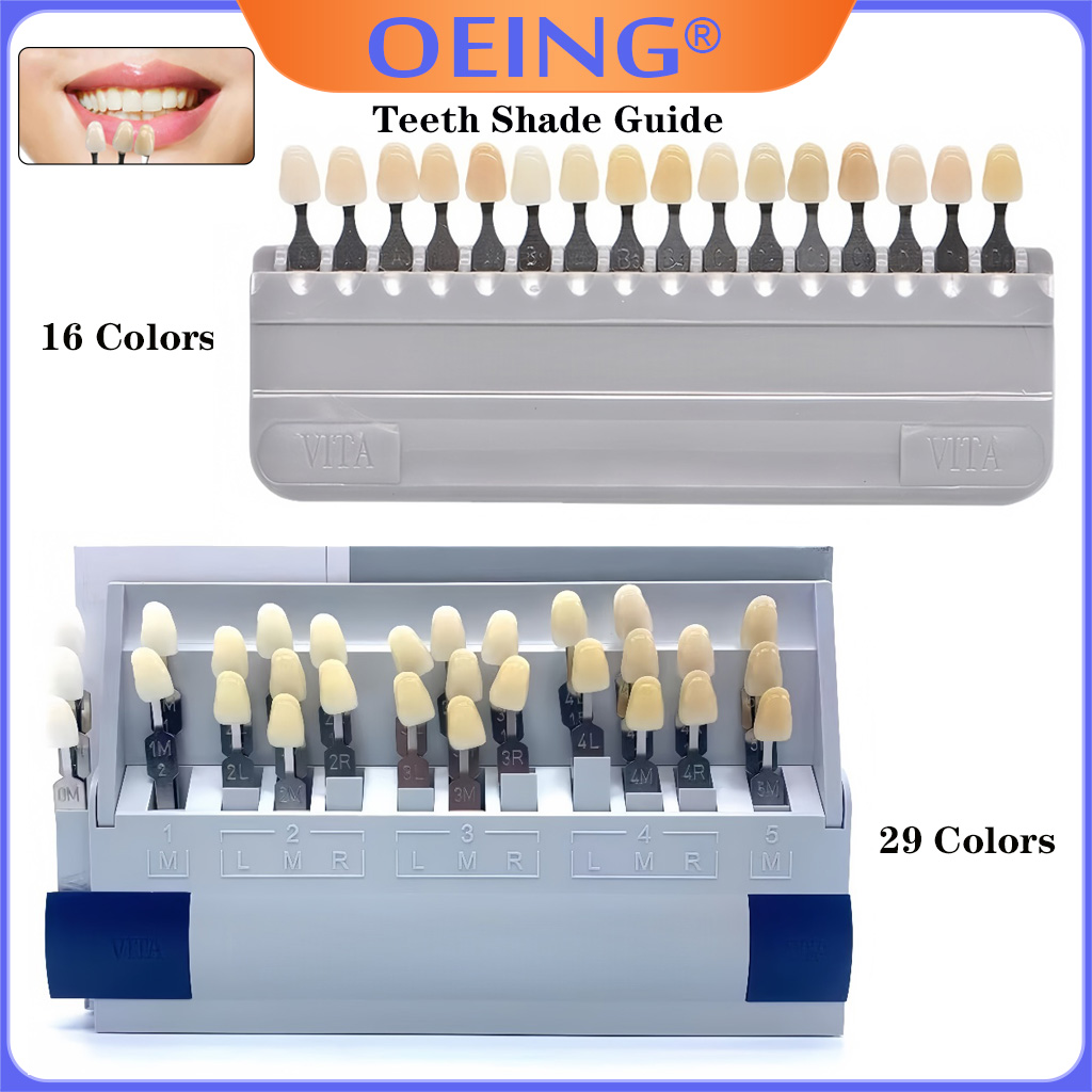 Model Kit Tool - 29/16 Colors Teeth Shade Guide Ceramic