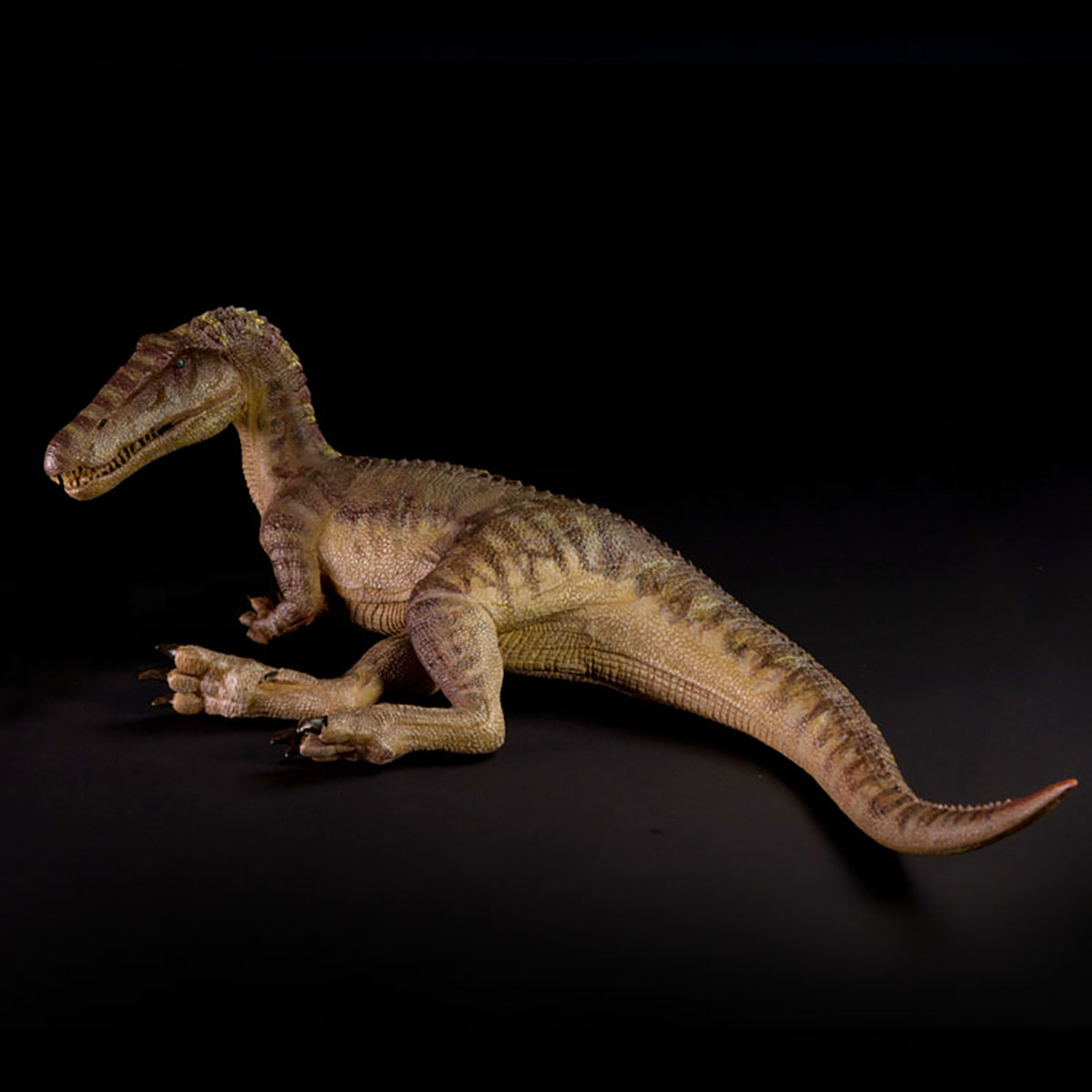 Spot SaleJurassic Nanmu Baryon - Model Kit Dinosaur Bandai recension och pris
