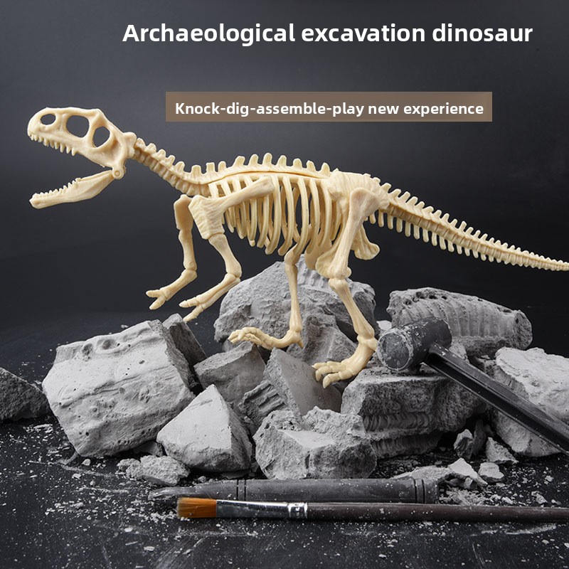 Dinosaur Fossil Excavation Kit - Model Kit Girls recension och pris