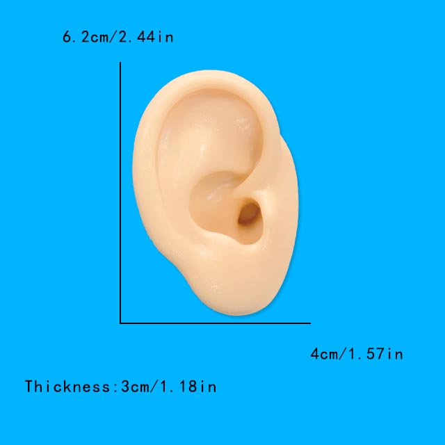 1Pc Soft Silicone Ear Model Ta - Model Kit Display Case recension och pris